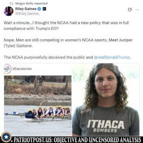 01JQT3BMFP3GXPA03XHAS62ZBZ