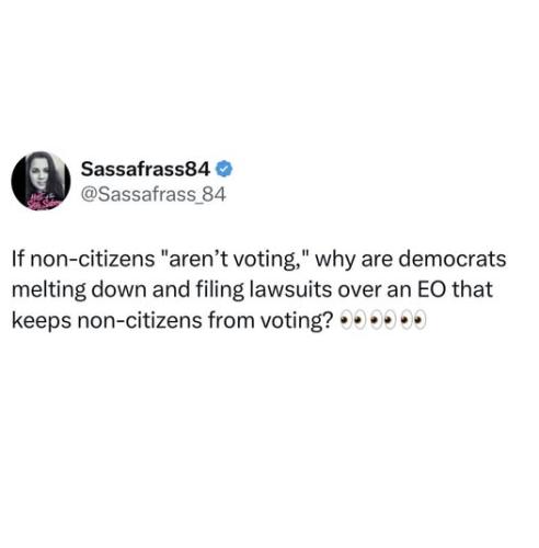 non_citizens_voting