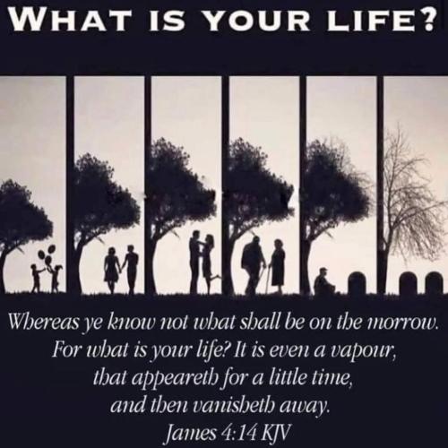 e3612a21-2e70-40e5-9b74-c5c5d9b4fd28