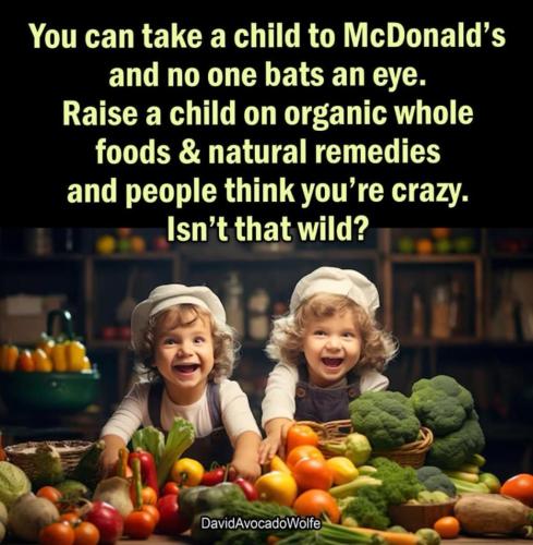 photo_2025-04-10_17-48-22