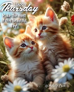 4ad492198c5d563f4e41dc4b54a17f23