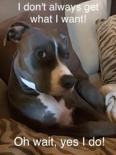 FB_IMG_1743975371657