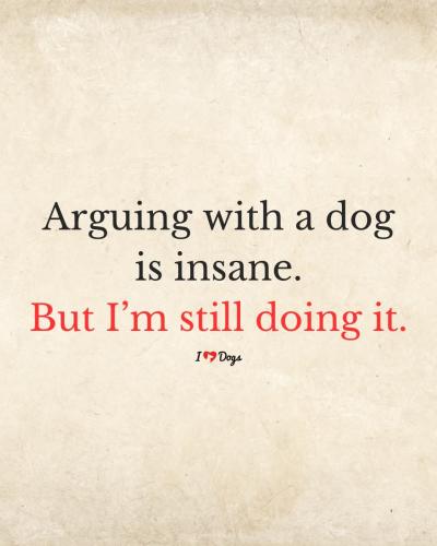 FB_IMG_1743800794785