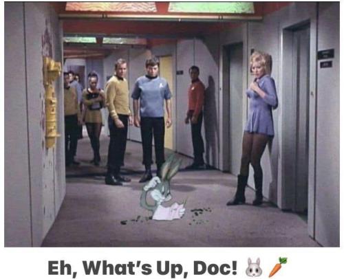 image_F2D3B538-CFD4-43E2-9175-B155A6019265