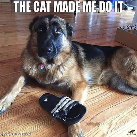 FB_IMG_1743882127108