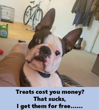 FB_IMG_1745002118372