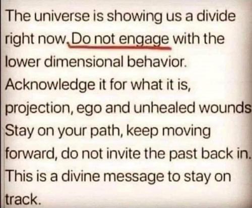 IMG_20250407_124407_071