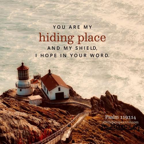 psa-119-114-KJV-unsplash-9x