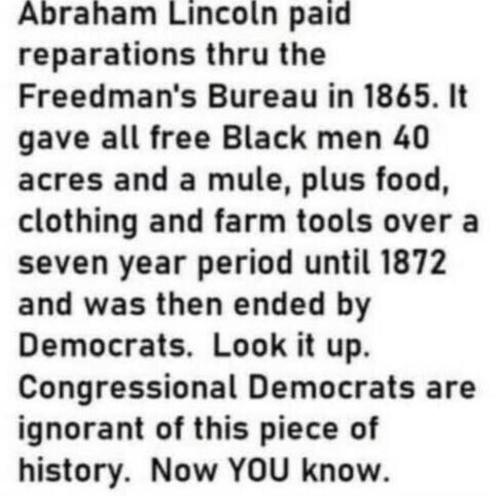 b8798839-fa49-43dd-b5c9-f57939d848ae