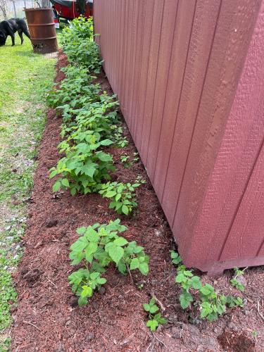 590FD8D7-B982-4544-9BEC-94FAE38E1F8D