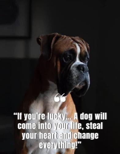 FB_IMG_1743877886888