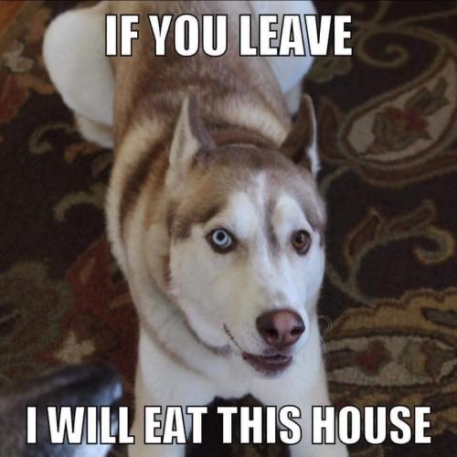 FB_IMG_1744505492646