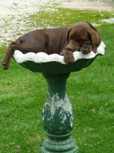 FB_IMG_1743538986723