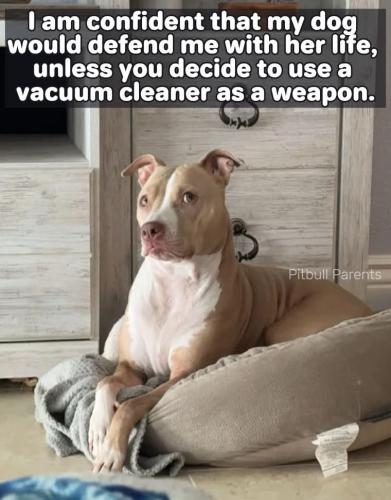 FB_IMG_1743870602259