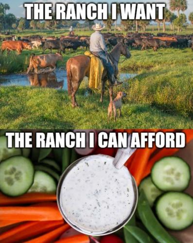 FB_IMG_1744505408828