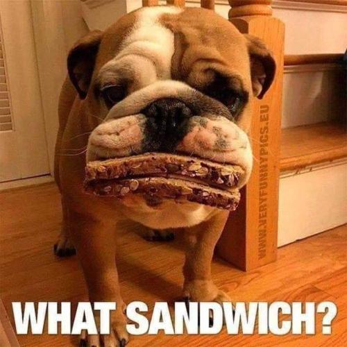 FB_IMG_1554917555100