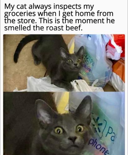 FB_IMG_1745351553568