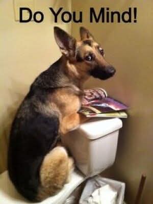 FB_IMG_1744390020449