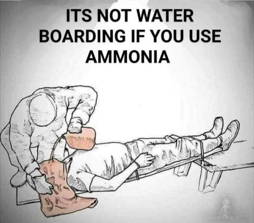 image_E9342B08-7673-41AC-BDE2-F2772858FC3A