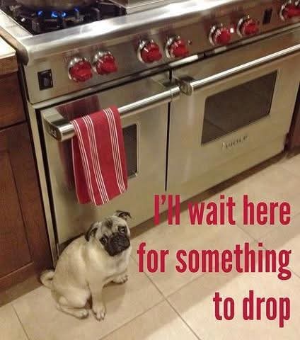 FB_IMG_1743803287391