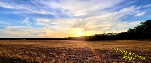 Screenshot_20250417_064928_Gallery