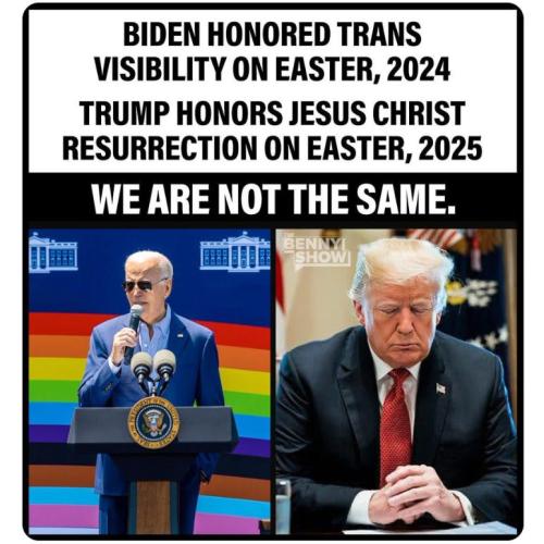 62facd2f-380b-4834-b3f3-0f13a90fb8b8_774x774