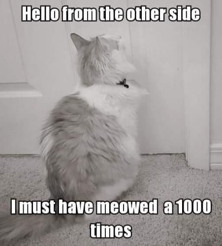 d600721edb810152c457d219f0562237