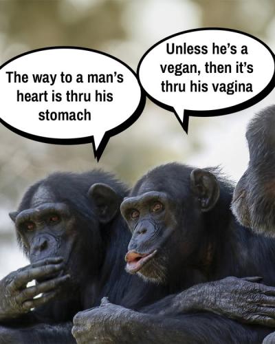 490466828_1124501939690237_1940828933356160227_n