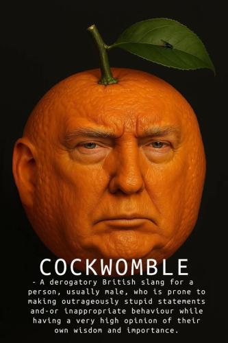 FB_IMG_1743879289623