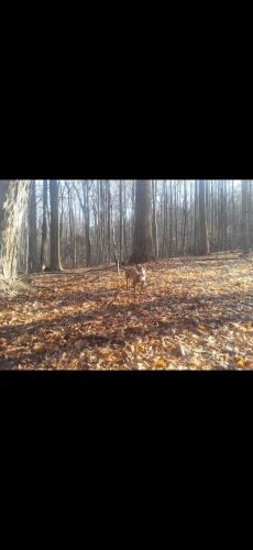 Screenshot_20250403_214728_Photos