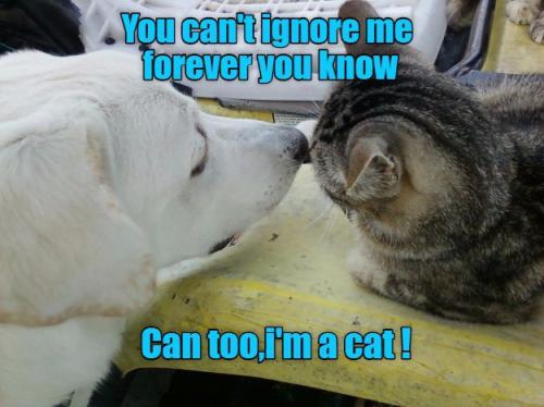 4f6c6585159870d869e2ab103a2000e9