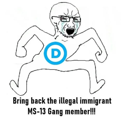 image_2025-04-18_075724538