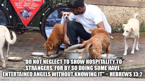 entertain strangers hebrews 13 2 verse