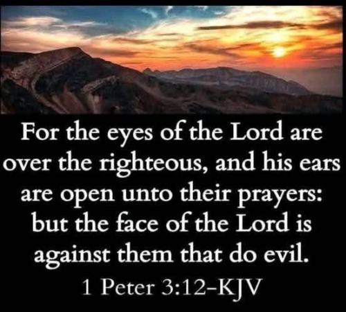 7c827c08-2bbf-49cb-9768-3a569cbc9392