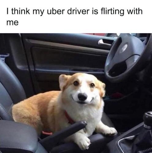 0d3ff1004a5e6da2bfb89e104fd36c9c