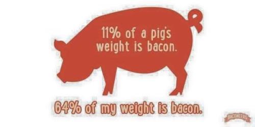 491798326_1074846778026019_6045879502234829786_n