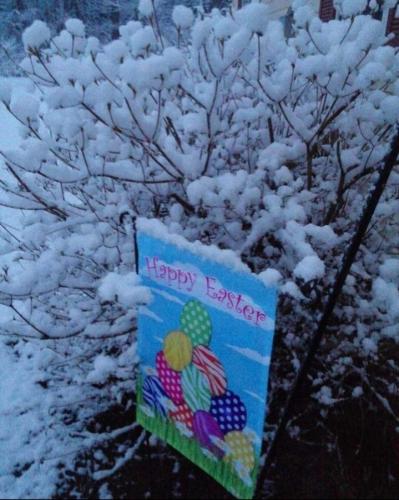 Screenshot_20250420_064321_Gallery