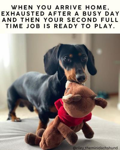 FB_IMG_1745259782319