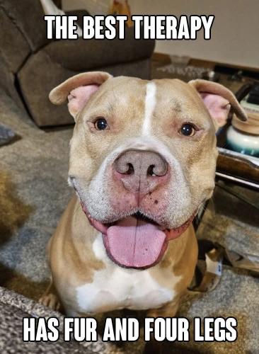 FB_IMG_1743948548579