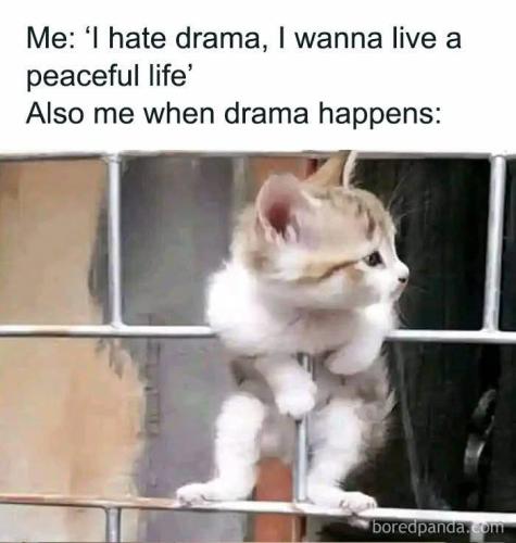 FB_IMG_1744646671839