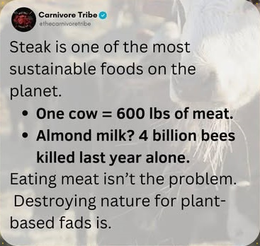 488866587_658461030258755_528100388131571700_n