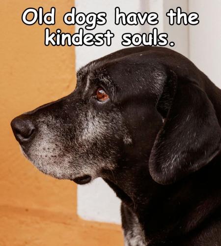 FB_IMG_1745528295281