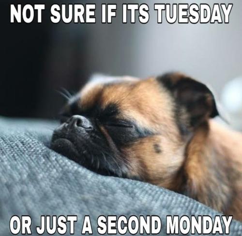 806f657f736b4b9778d927cd5396bdbe