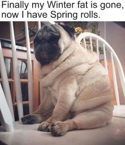 FB_IMG_1743629036185