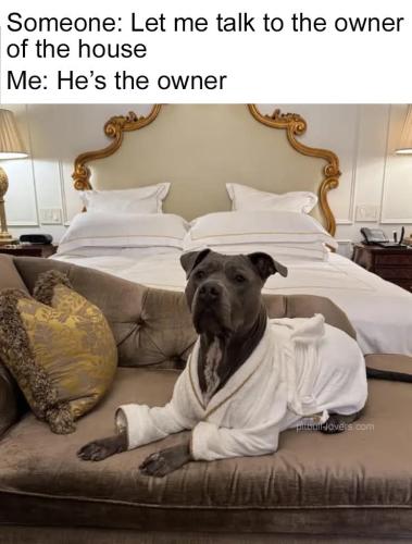 FB_IMG_1744820601584