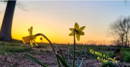 Screenshot_20250414_184200_Gallery