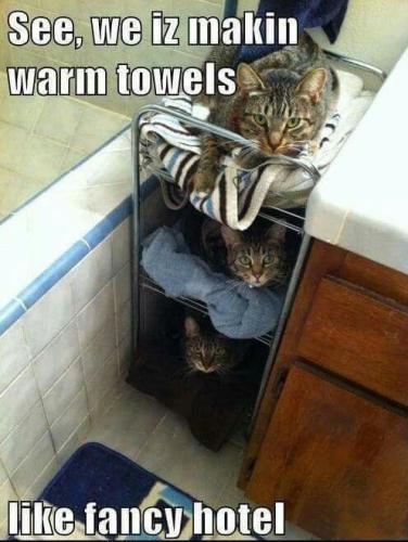 007936b3d1aa4ec572c597c31d6969cd