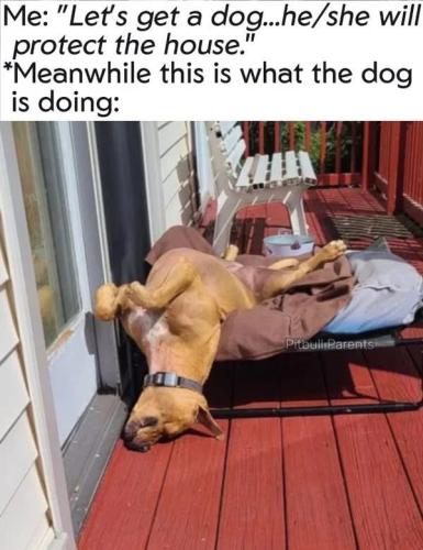 B9E86CF5-B77A-4796-96CA-F78EC1199A1C