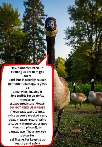 FB_IMG_1743876357458