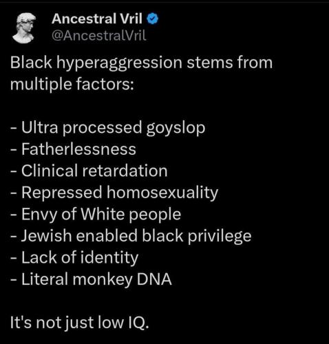 IMG_20250425_202952_894